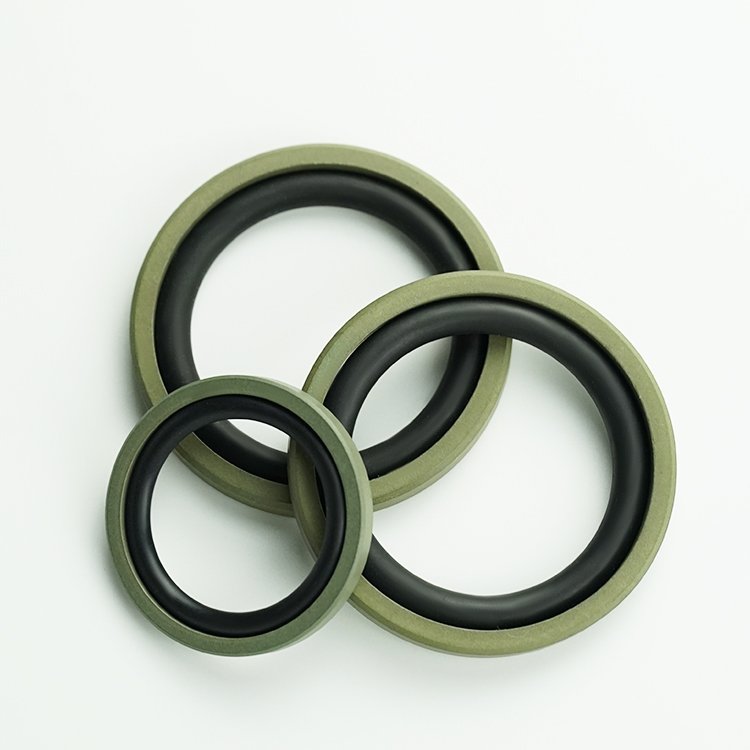 PTFE SPGO seal