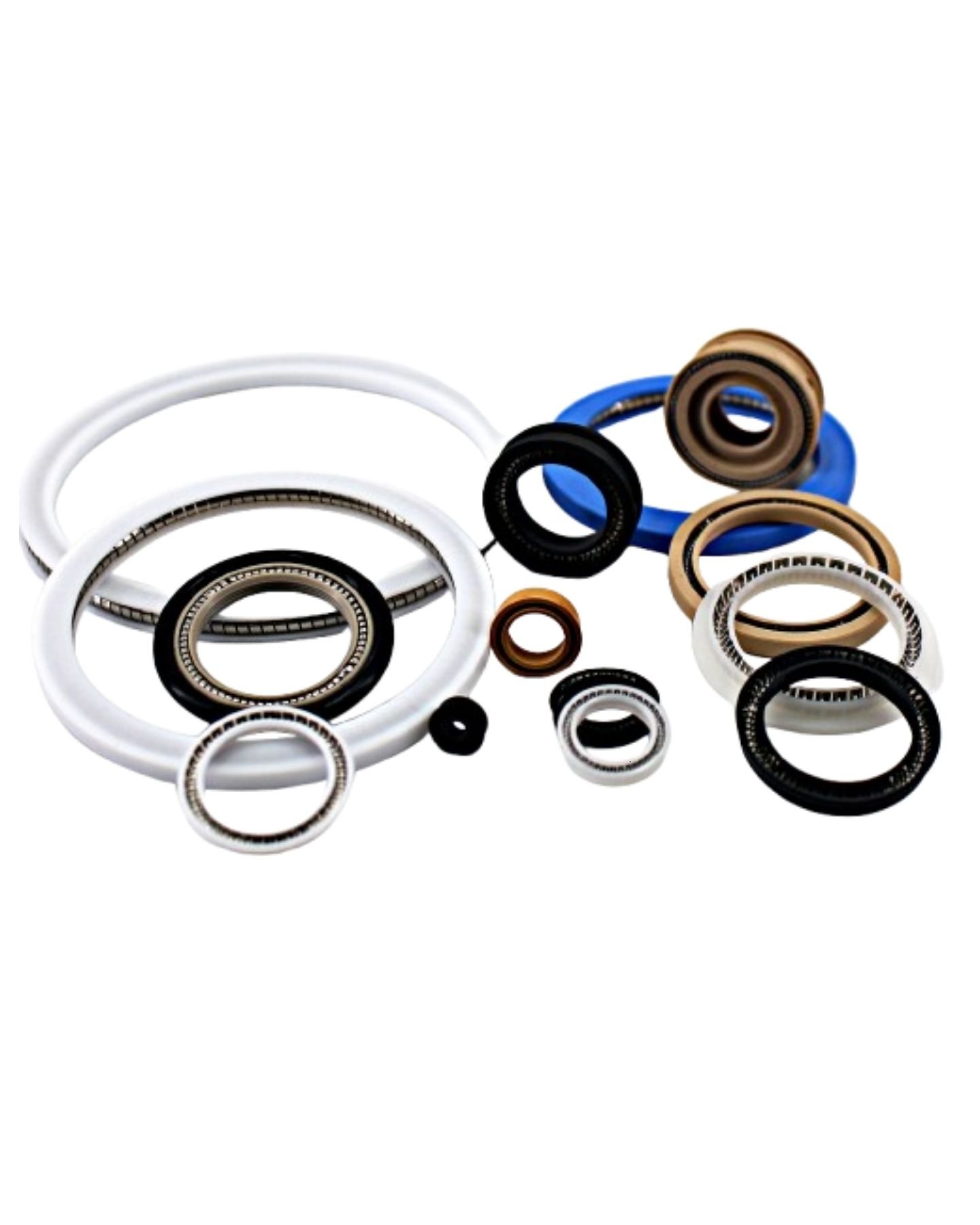 Spring energized seals